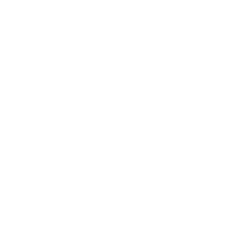Inkwell Intimates