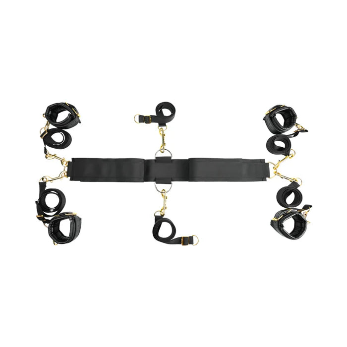Special Edition Under-the-Bed Restraint System