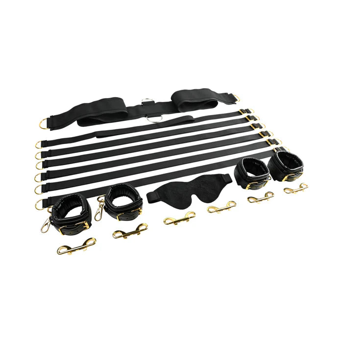 Special Edition Under-the-Bed Restraint System